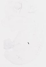 EMAGE:8477