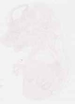 EMAGE:8584