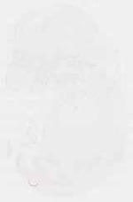 EMAGE:8585