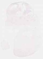 EMAGE:8597