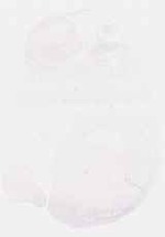 EMAGE:8597