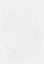 EMAGE:8610
