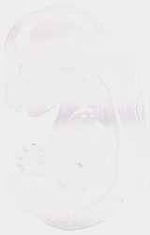 EMAGE:8617