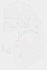 EMAGE:8617