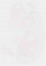 EMAGE:8622