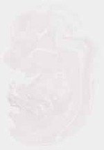 EMAGE:8642