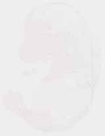 EMAGE:8645
