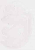 EMAGE:8645