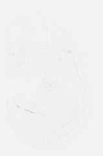 EMAGE:8649
