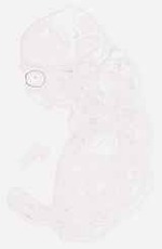EMAGE:8649