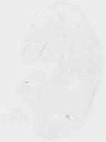 EMAGE:8658
