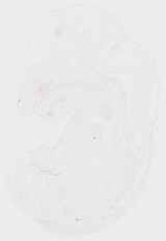 EMAGE:8658