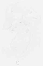 EMAGE:8658