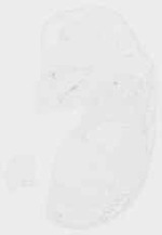 EMAGE:8658