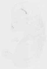 EMAGE:8658