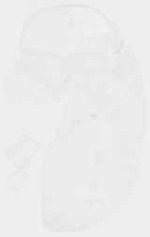 EMAGE:8660