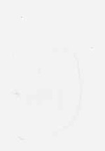 EMAGE:8667