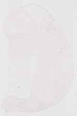 EMAGE:8686