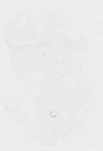 EMAGE:8689