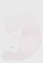 EMAGE:8689