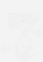 EMAGE:8695