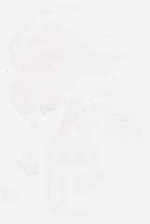 EMAGE:8695