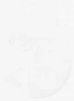 EMAGE:8715
