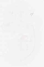 EMAGE:8738