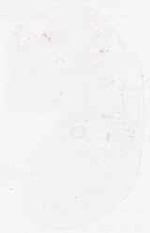 EMAGE:8738