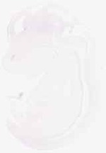 EMAGE:8746