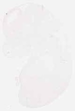 EMAGE:8752