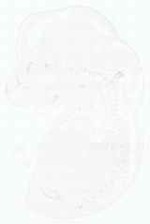 EMAGE:8759