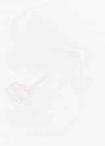 EMAGE:8802