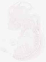EMAGE:8817