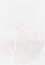 EMAGE:8832
