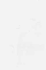 EMAGE:8832