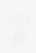 EMAGE:8833