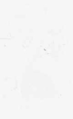 EMAGE:8833
