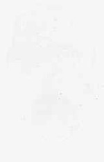 EMAGE:8834
