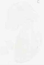 EMAGE:8834