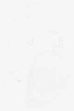 EMAGE:8834