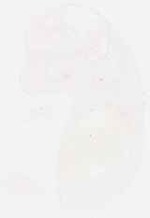 EMAGE:8835