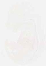 EMAGE:8835