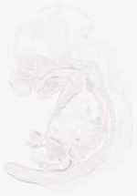 EMAGE:8860