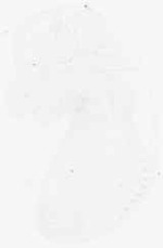 EMAGE:8863
