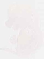 EMAGE:8873
