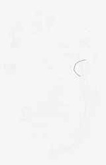 EMAGE:8885