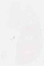 EMAGE:8895