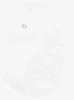 EMAGE:8903