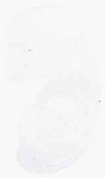 EMAGE:8908